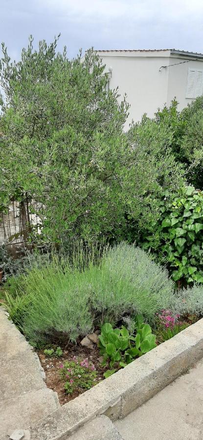 Apartmani Milano Stomorska Bagian luar foto